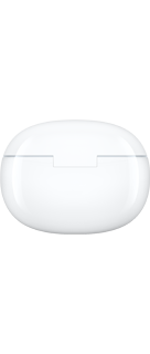 vivo TWS 3e