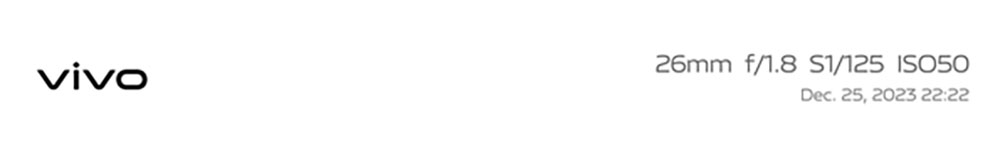 photo sample by vivo V40 SE 5G with stylish night filters