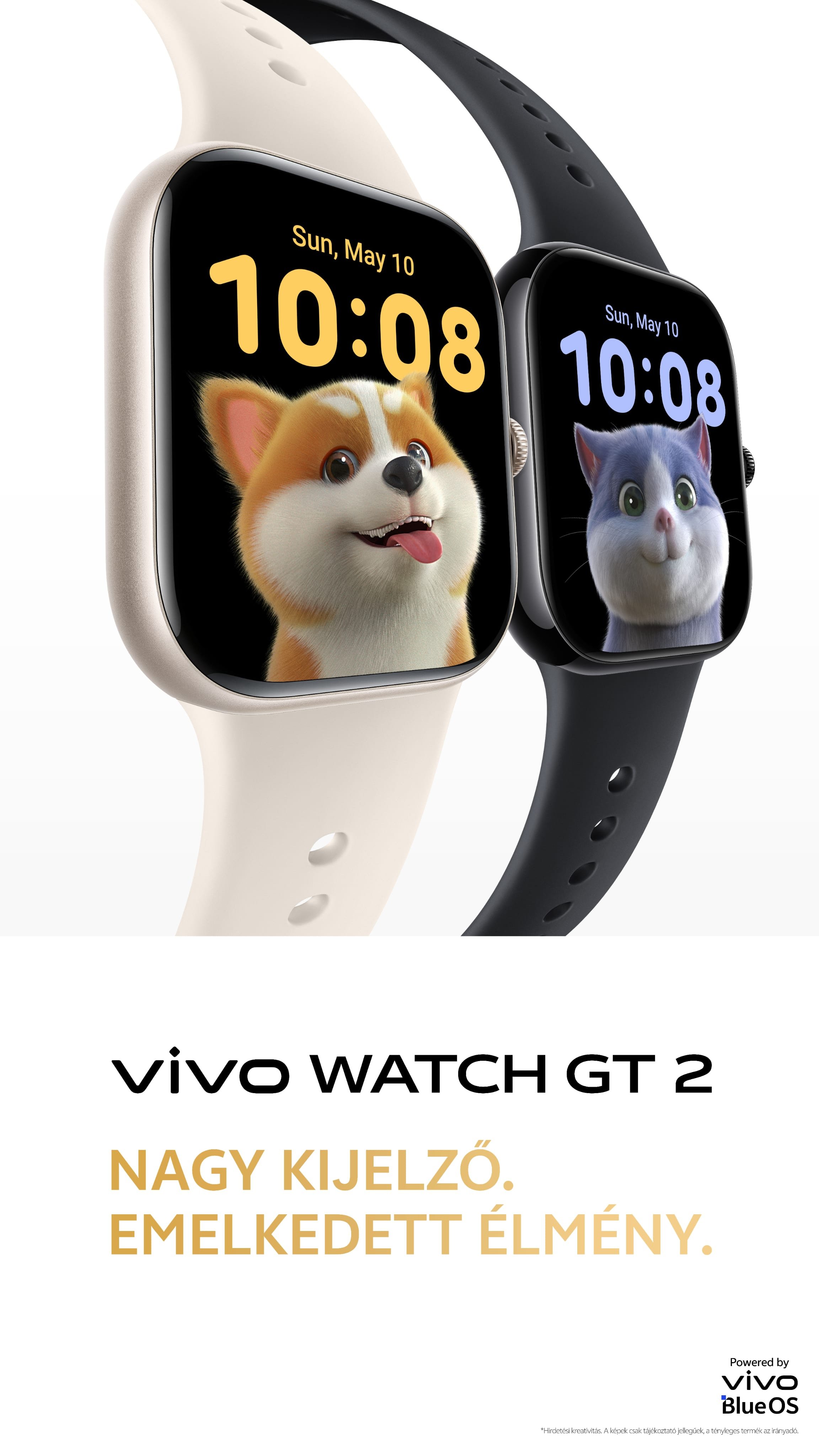 vivo WATCH GT 2