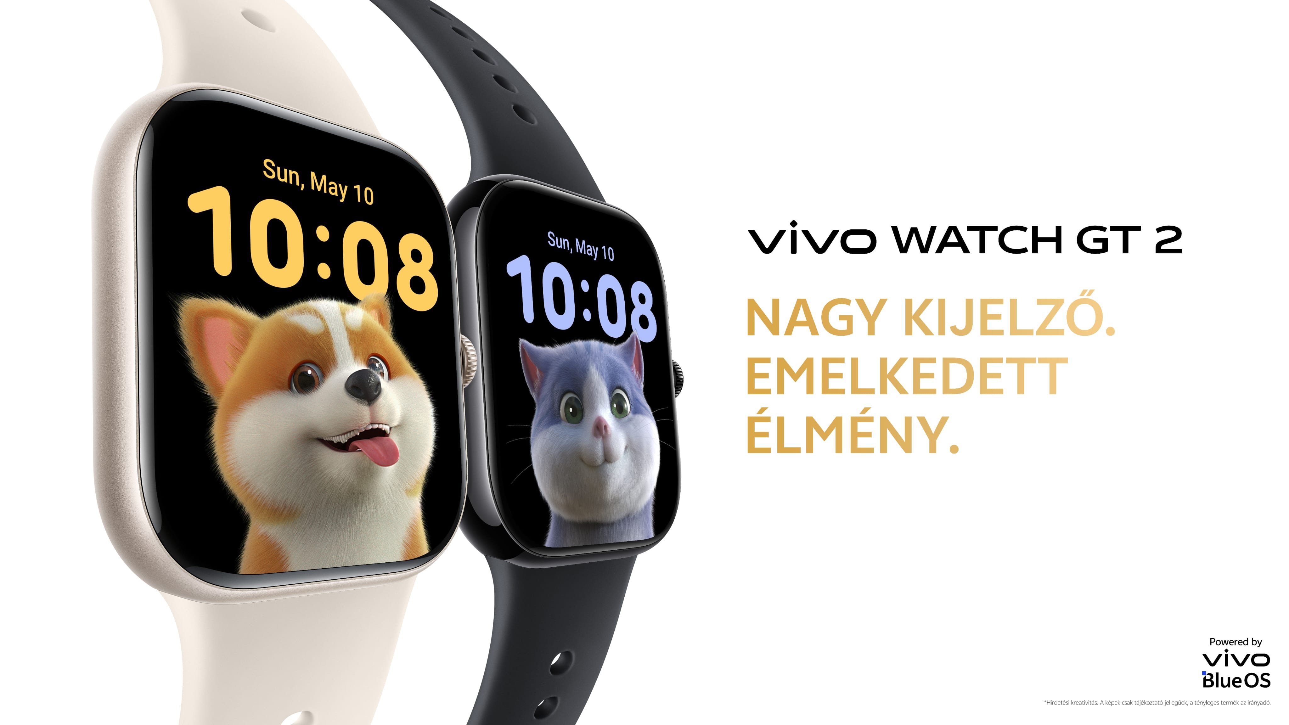 vivo WATCH GT 2